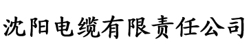 国产精品久久久久久影院电缆厂logo